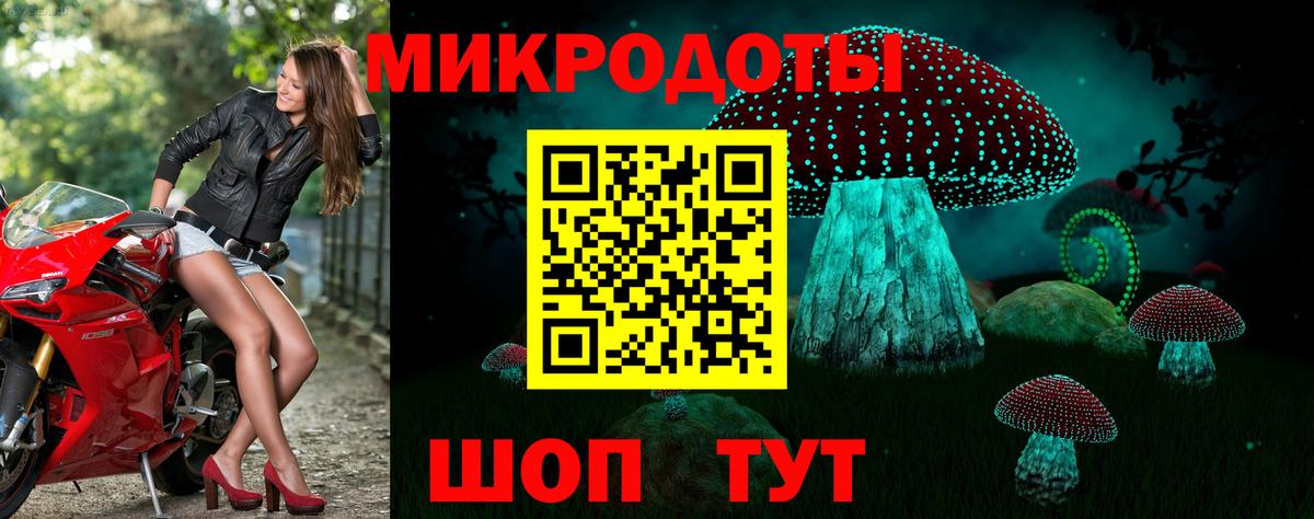Холмск  Псилоцибиновые грибы GOLDEN TEACHER  Псилоцибиновые грибы Cubensis  цены наркотик  Вход с VPN 